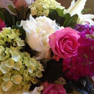 Meet your Posher, Jill